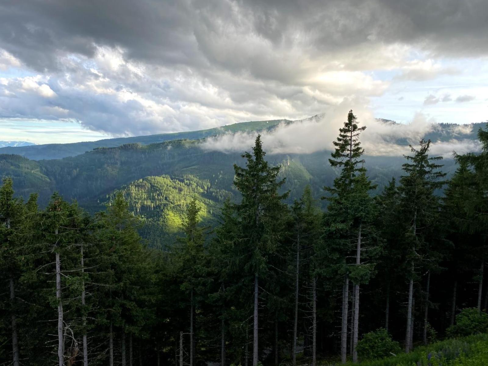 Вилла Klippitzstar Mit Panoramablick Klippitztorl Экстерьер фото